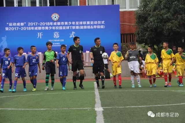 福鼎集中销毁近200万元受灾茶叶 产业信心不减